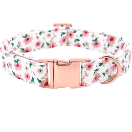 Bobo Rainbow Dog Collars, Pink Flower Pet Collar Dog Collar Durable Metal Collar Dog Cute Girl Dog Collars Adjustable Dog Collar for Medium Dogs