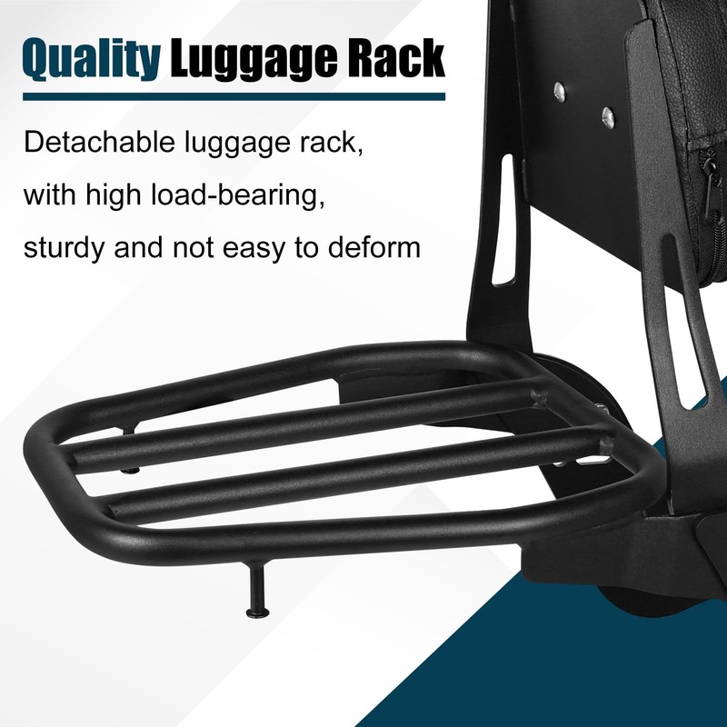 DSISIMO Motorcycle Passenger Backrest Sissy Bar With Back Rest Cushion