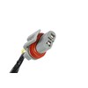 GM Genuine Parts 25809079 Headlamp Wiring Harness