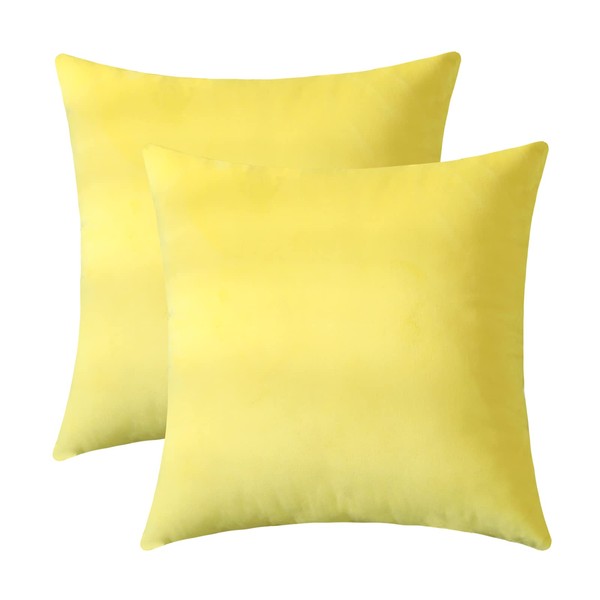 Jeneoo Comfy Soft Thick Velvet Throw Pillow Covers Decorative Solid