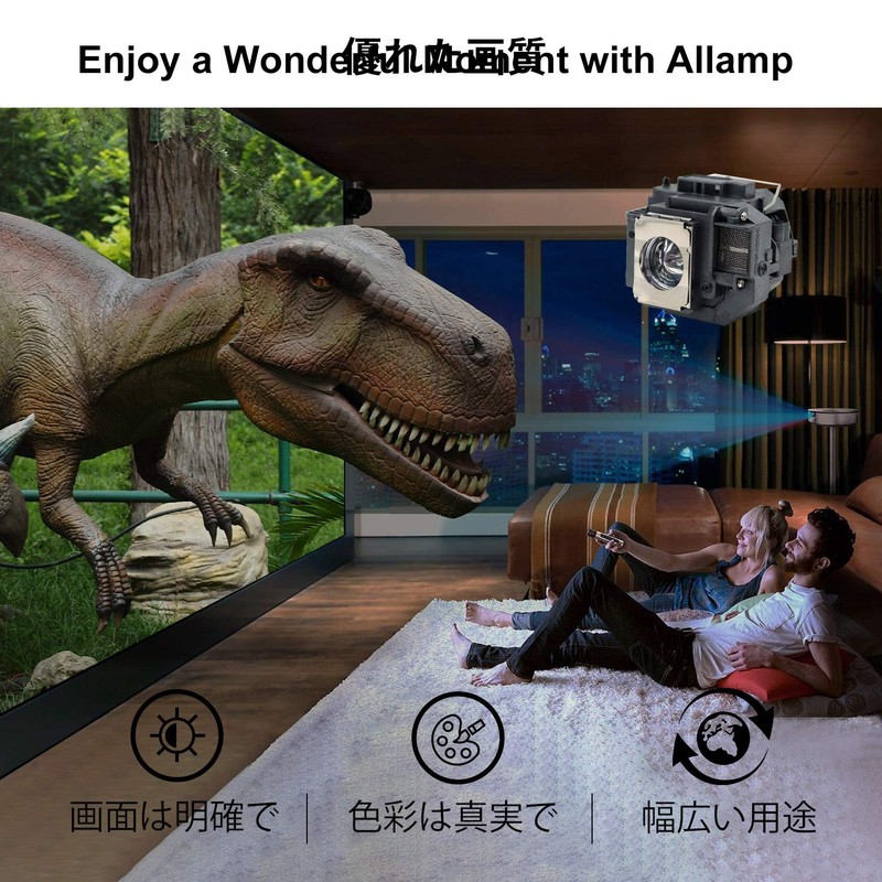 Allamp Projector Replacement Lamp ELPLP58 EPSON EB-W10 EB-S9 EB-S10 EB-W9