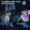 Super Bright LED Dog Collar - Fully Waterproof & Adjustable
