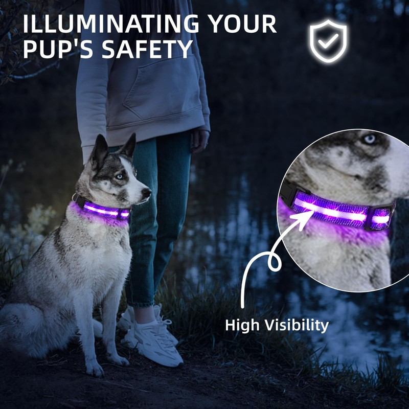 Super Bright LED Dog Collar - Fully Waterproof & Adjustable