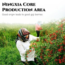 JINQI Dried Goji Berries Gou qi 枸杞 9.87oz/280g (4.93oz/140g*2) Ningxia New Red Wolfberry, Holiday Gifts, Tea Gifts, Can be Eaten Dry/Make Water/Make Wine/Make Soup