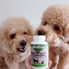 Essential Animal Plant Dog Enzyme Cat Digestive Probiotic Intestinal Supplement Rumbling Coprophagia / 에센셜 애니멀 플랜트 강아지 엔자임 고양이 소화 유산균 장 영양제 복명음 식분증
