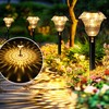 SOLPEX Solar Pathway Lights Garden Decor for Yard, Garden Lights