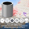 C610 Replacement Filter Z for Winix C610 Air Purifier, 3