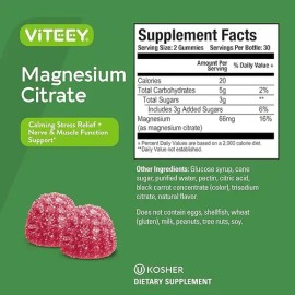 Viteey Magnesio Citrato Gomitas Frambuesa 60 Unidades Suplemento Vegano