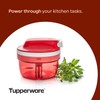 Tupperware SuperSonic Chopper Compact