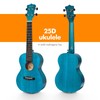 Enya Concert Ukulele 23 Inch Blue Solid Mahogany Top with