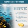Pharmepa MAINTAIN EPA DHA Omega-3 Fish Oil & D3, 750/250