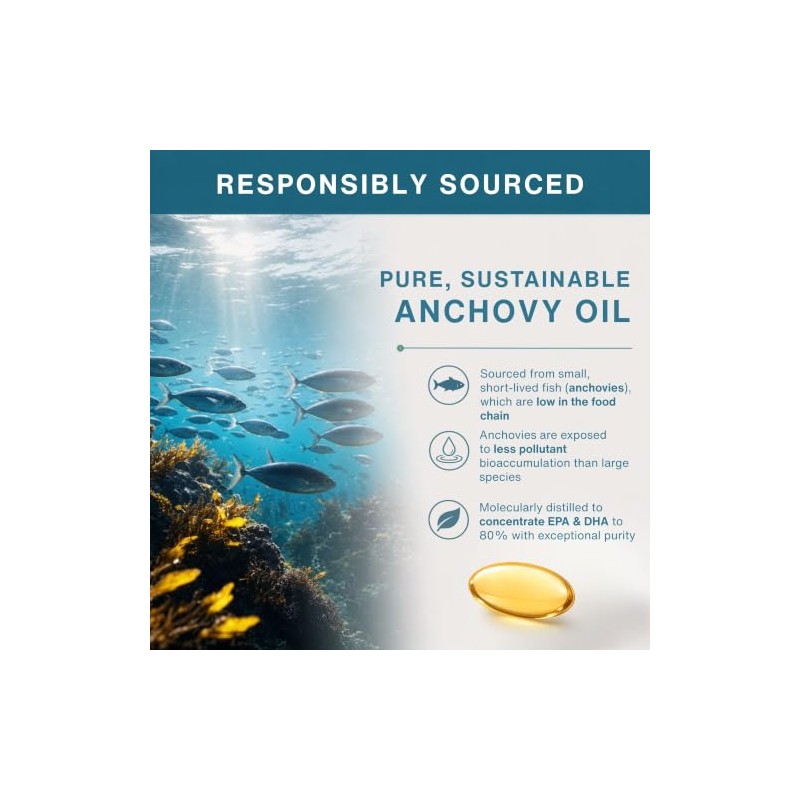 Pharmepa MAINTAIN EPA DHA Omega-3 Fish Oil & D3, 750/250