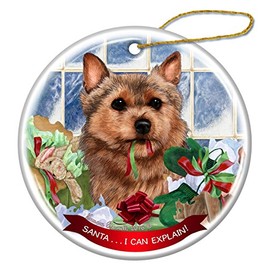 Norwich Terrier Dog Porcelain Hanging Ornament Pet Gift 'Santa.. I Can Explain!'