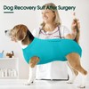 Kuoser Dog Recovery Suit for Dogs After Surgery, Soft Surgical