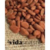 Granos De Cacao Lavado Tabasqueño 1 Kg Vida Silvestre