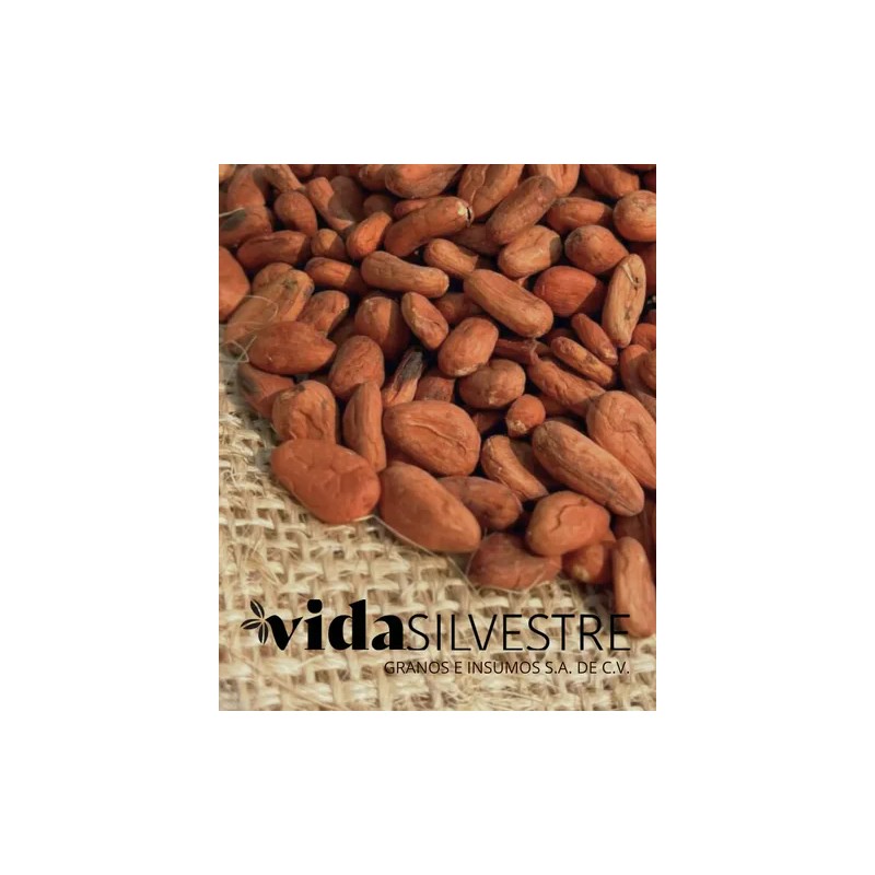 Granos De Cacao Lavado Tabasqueño 1 Kg Vida Silvestre
