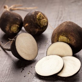 TomorrowSeeds - Black Spanish Round Radish Seeds - 300+ Count - for 2025 Planting Spicy Mexican Exotic Raphanus Sativus Niger Kern Erfurter Brown Skin Radishes Heirloom Daikon Leaf Root Vegetable