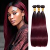 BilltiiWW Ombre 1B99J Hair Straight Bundles Black and Wine red