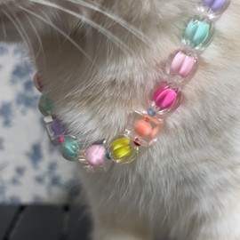 FURLINGDA Cat Necklace, Elegant Colorful Crystal Pearl Beads Necklace for Cat & Small Dog, Teddy Necklace Jewelry Chihuahua York Girl Pearl Jewelry, Puppy Accessories