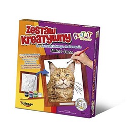 Zestaw Kreatywny Maine Coon
