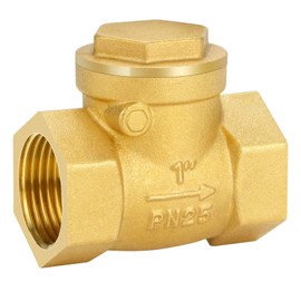 oumuik Brass Check Valve (1 Inch) Internal Thread Check Valve for Water, Oil