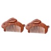 Minkissy 2pcs Natural Sandalwood Hair Comb Fine Tooth Comb for