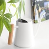 Stainless Steel Watering Can Pot Retro Small Plant Watering Can