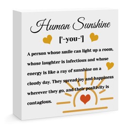 Inspirational Gifts for Women Friends Family Thank You Gifts for Coworker Employee Leader Appreciation Gifts for Teacher Mentor Doctor Nurse Human Sunshine Home Office Desk Sign Decor