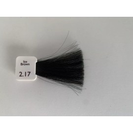 NATULIQUE Ammonia FREE Permanent Hair Color Ice Brown 2.17