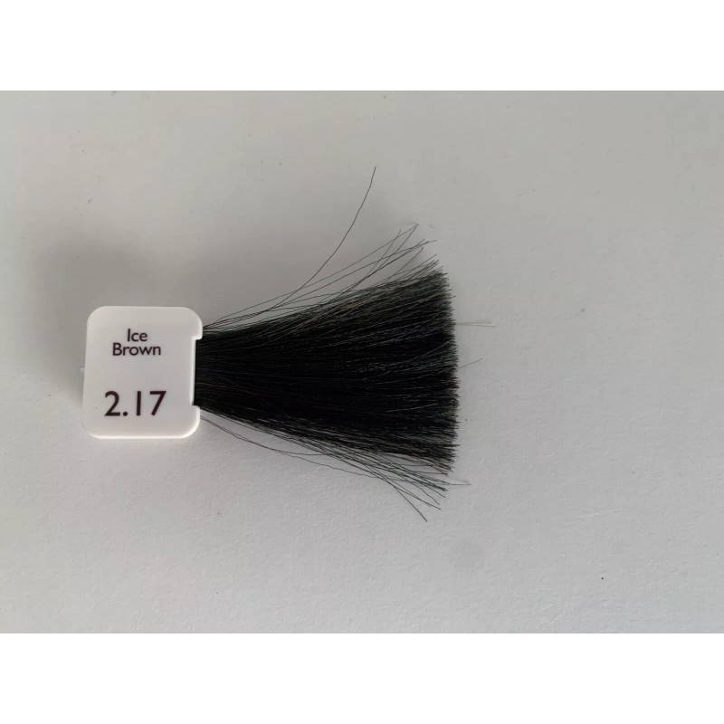 NATULIQUE Ammonia FREE Permanent Hair Color Ice Brown 2.17