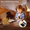BUOTAU Music Box for Adults, 3D Crystal Ball Music Box,