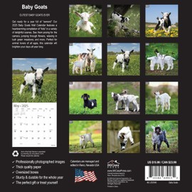 MICASA Baby Goats 2025 Wall Calendar 12 Month | 12" x 24" Open | Thick & Sturdy Paper | Giftable | Calendar 2025