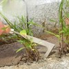Crack Weeder – Gap Weeder, Garden Hand Tool, Weed Puller