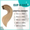 SURNEL Hair Extensions Clip in Balayage Ombre Color 10 Fading