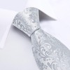 DiBanGu Mens Paisley Tie Formal Silk Tie & Pocket Square