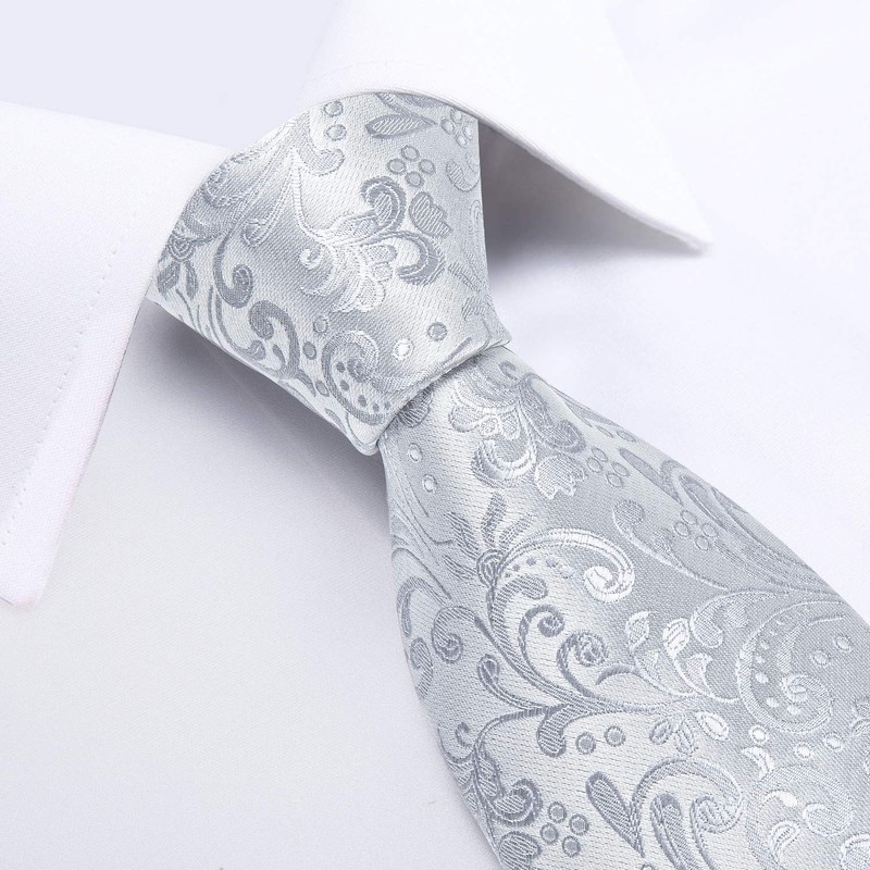 DiBanGu Mens Paisley Tie Formal Silk Tie & Pocket Square