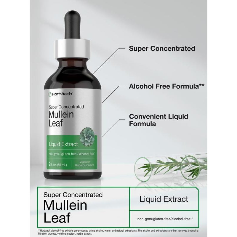 Mullein Leaf Extract | 2oz Liquid