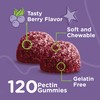Sambucus Black Elderberry Gummies Formulated for Kids - Immune Booster