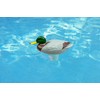 Poolmaster Adustable Chlorine Dispenser for Swimming Pools and Spas, Mallard