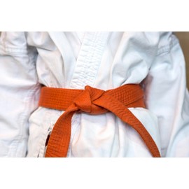 SHIHAN POWER SPORTS Karate Martial Arts Belt Orange 280cm Grading Gym Dojo