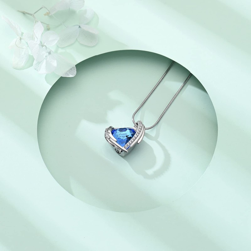 VCCWYQK Cremation Jewelry Crystal Heart Necklace for Ashes, Urn Necklace
