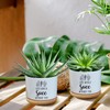 AKAQCHANG Life Would SUCC Without You,Succulent Cactus Cute Planter Pots
