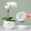 Meshpot 12cm Orchid Pots with Holes for Repotting, Set of