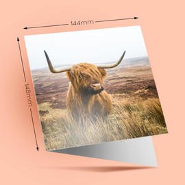 1 x Greeting Card Fluffy Brown Highland Cow Scotland - Blank Birthday Celebration Anniversary #15755
