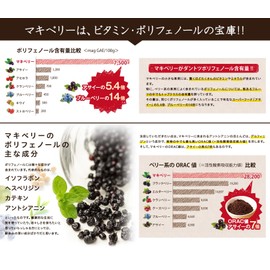 NICHIGA 04 Organic JAS Certified Organic Maqui Berry Powder, 3.5 oz (100 g), Freeze-Dry Formula, Dietary Fiber Rich