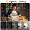 10X Lighted Magnifying Glass - 3 Colors & 10 Brightness