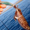 Fishing Squid Lures Kit 10pcs Luminous Squid Jig Shrimp Lure