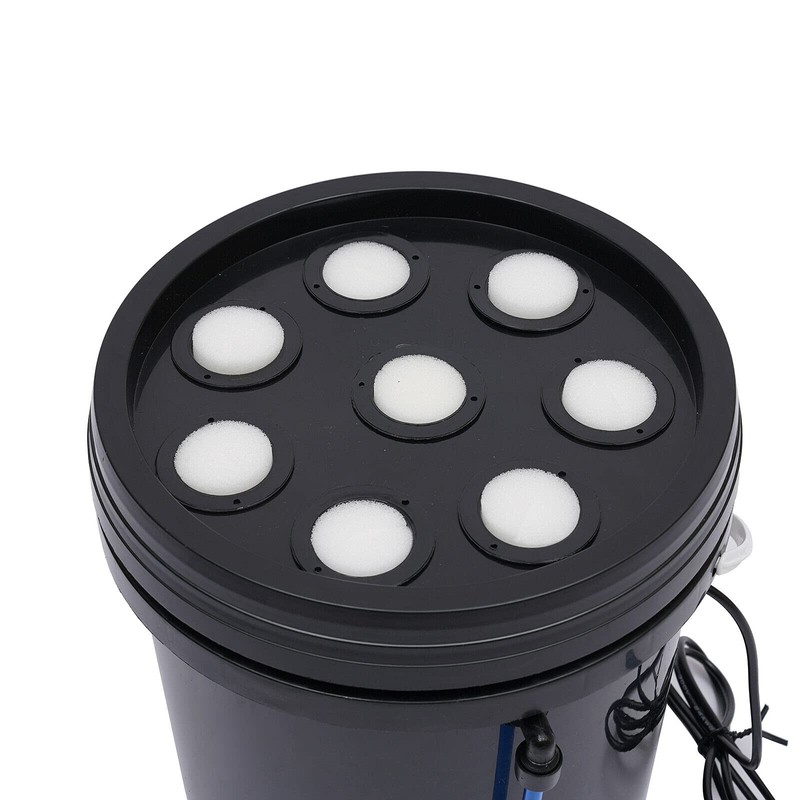 SHZICMY Hydroponic Box 8 Holes Hydroponic System Grow Kit Hydroponic