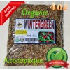 Mexcian Herbs & Roots 4oz Wintergreen leaf/leaves c/s - axocopaque