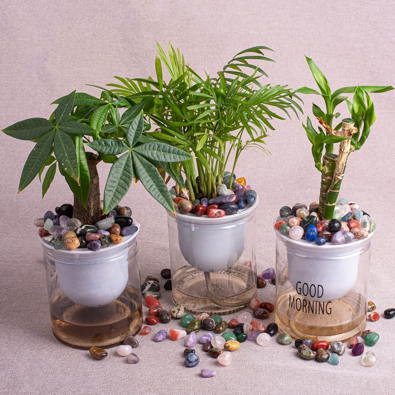 SigMntun Polished Stone Set - 200 pcs Tumbled Stones and